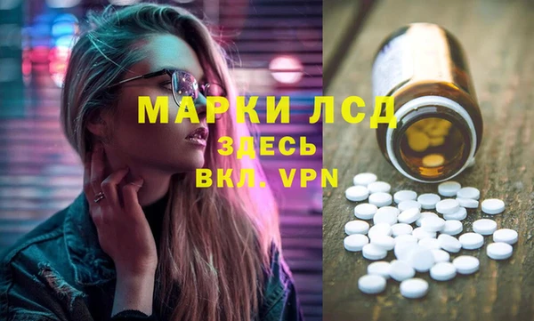 гидра Богданович