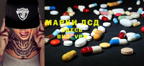 гидра Богданович