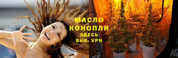 гидра Богданович