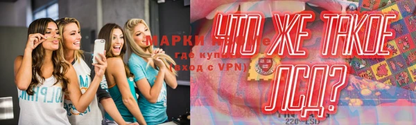 гидра Богданович